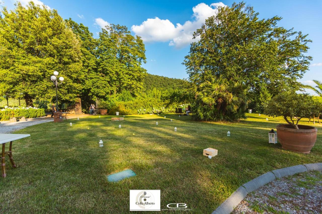 Il Frantoio Di Colle Alberto * Montale (Tuscany)