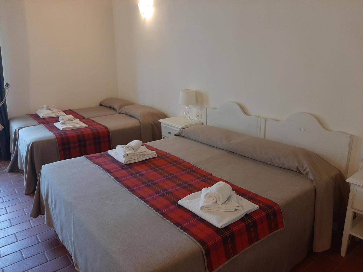 Farm stay Il Frantoio Di Colle Alberto *