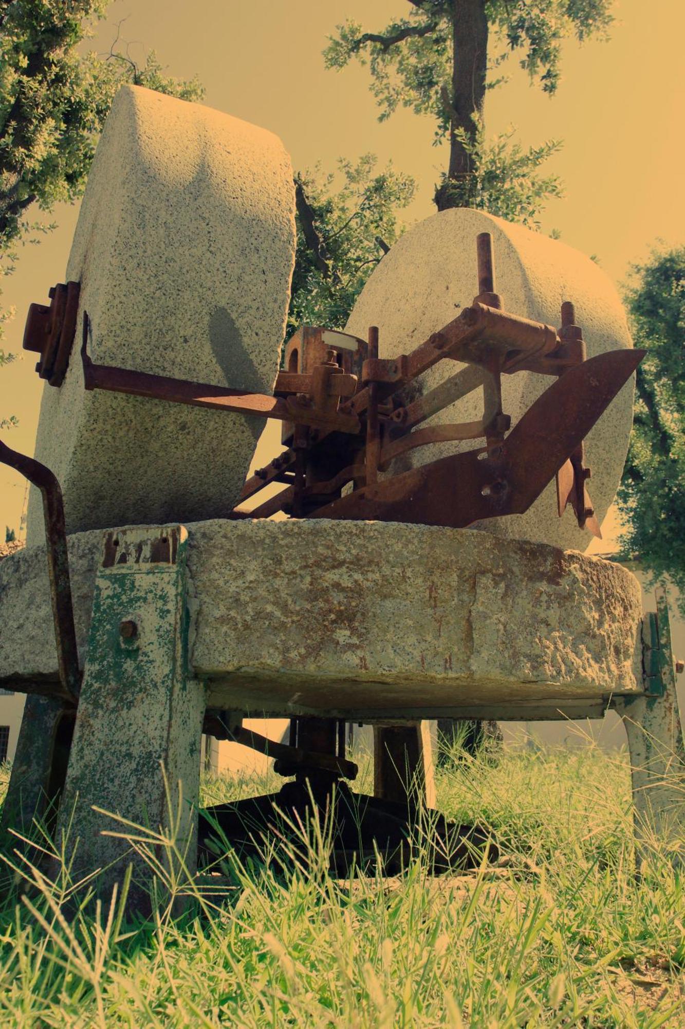 Il Frantoio Di Colle Alberto * Montale (Tuscany)
