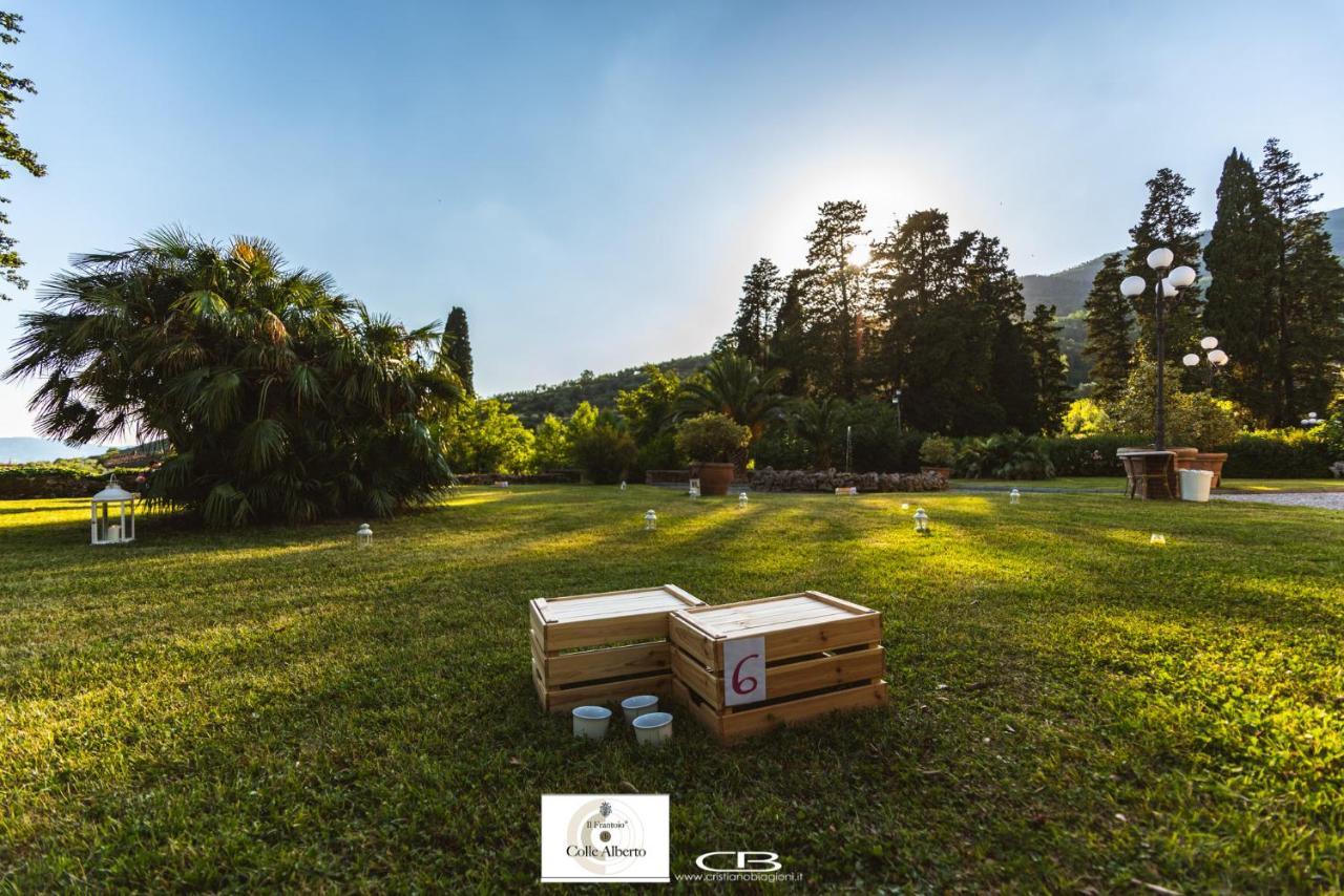 Il Frantoio Di Colle Alberto Montale (Tuscany)