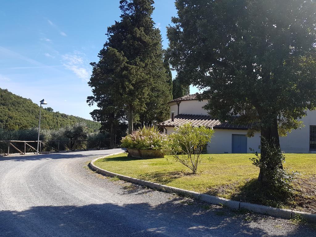 Bauernhof Il Frantoio Di Colle Alberto Montale (Tuscany)